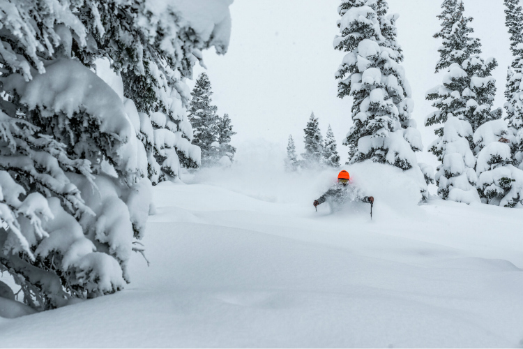 Camber vs. rocker: hlavné rozdiely v praxi