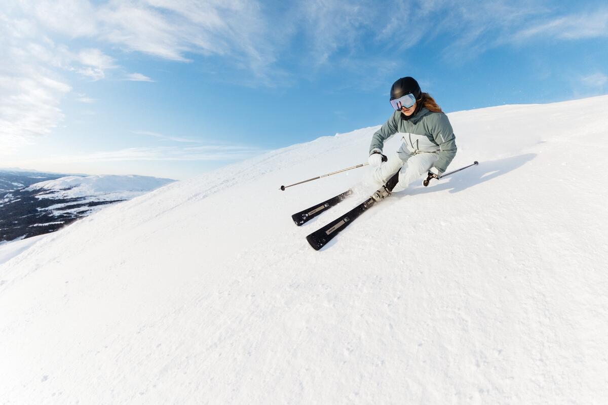 Ako si vybrať model Salomon E S/Max podľa úrovne lyžiara