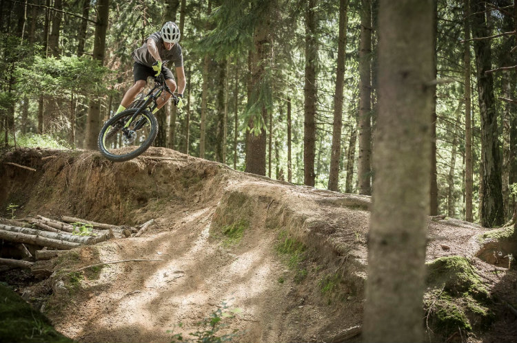 Bicykle Focus a modelové rady