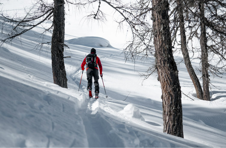 Dlhý alebo krátky krok: Čo je energeticky efektívnejšie?v