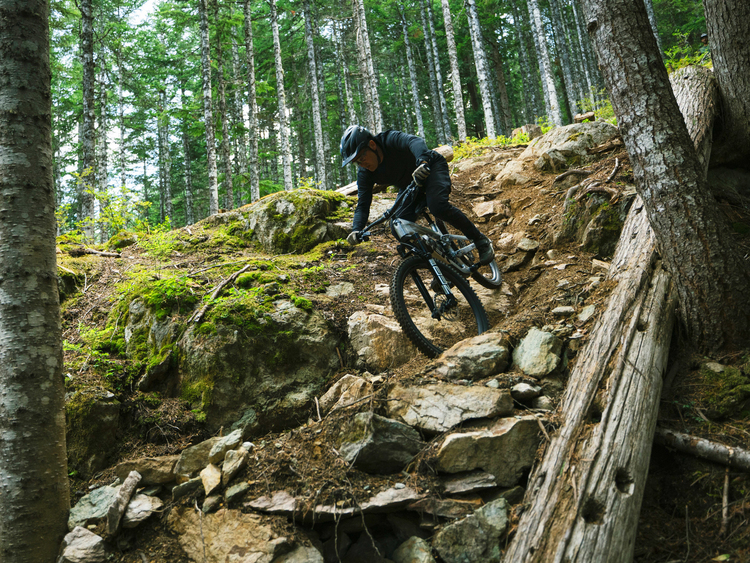 Modelové varianty Trek Slash