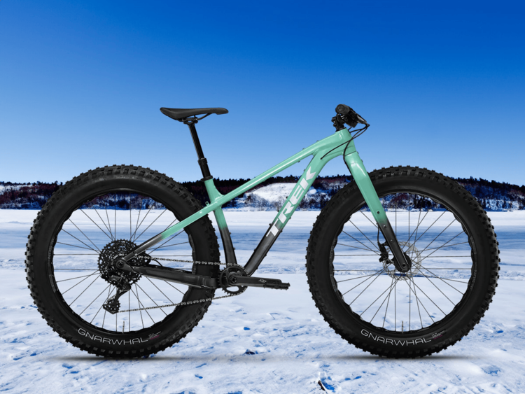 Modelové varianty Trek Farley