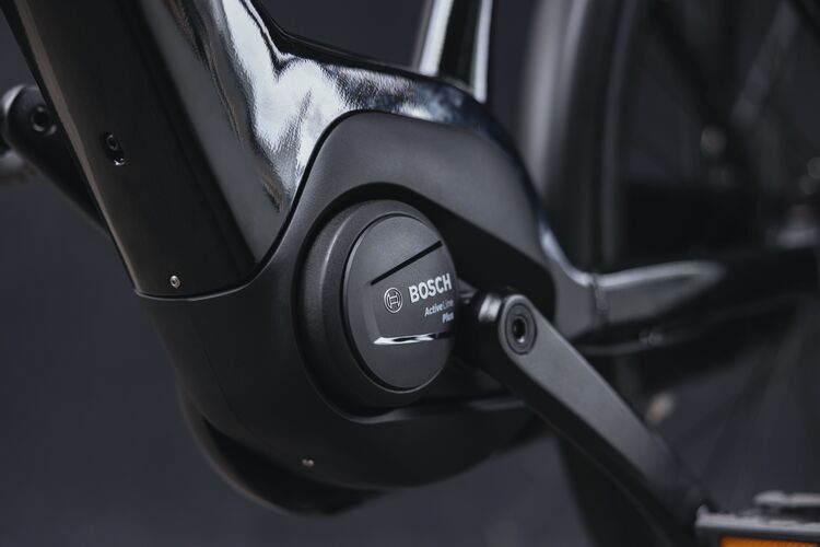 Pohon Bosch a praktické riešenia pre mesto