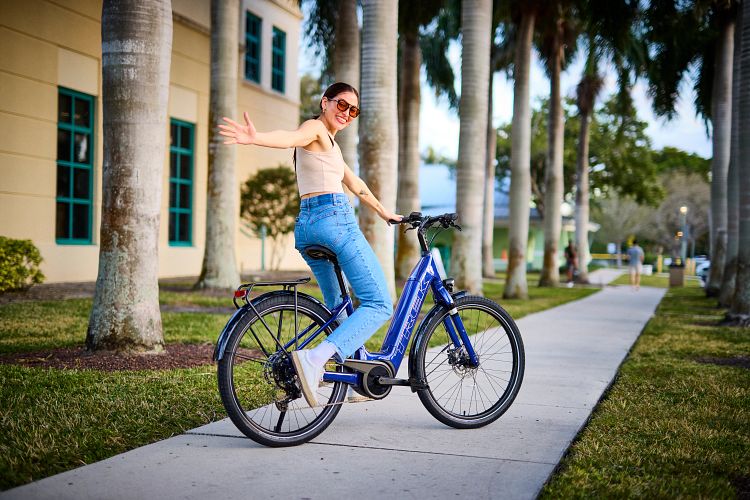 Trek Verve a Verve+: Charakteristika a vlastnosti