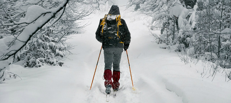 Backcountry bežkovanie