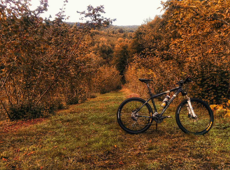 bike-jeseň-príroda