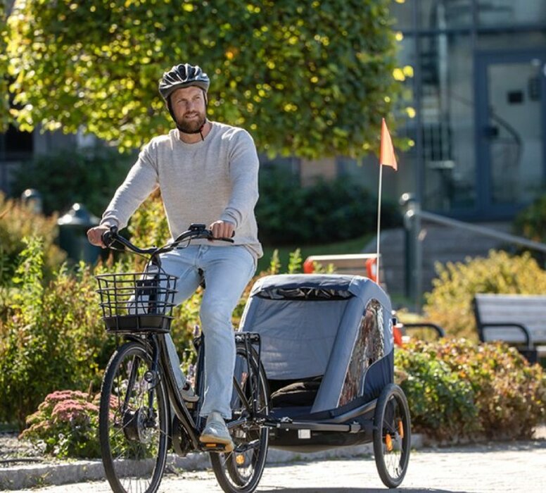 Cyklistický vozík Hamax Avenida Twin Šedá/Žltá