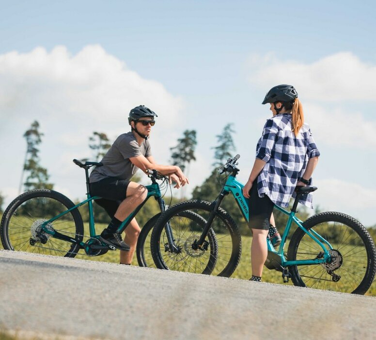 Bazárový cestný bicykel Pell´s Speedy