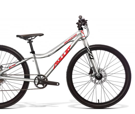 Detský bicykel Amulet 24 Youngster Silver/Red 2022