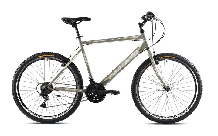 Bicykel Capriolo Passion Man Moss 2021
