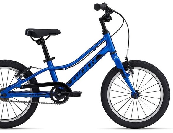 Bicykel Giant ARX F/W Sapphire 2024