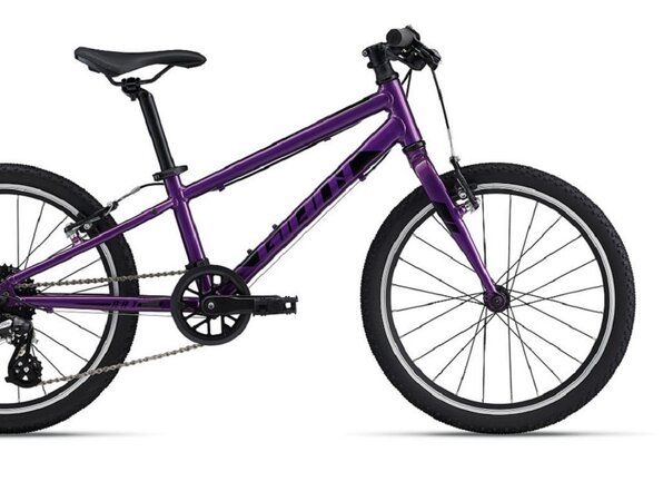 Bicykel Giant ARX 20 Purple 2023 20"