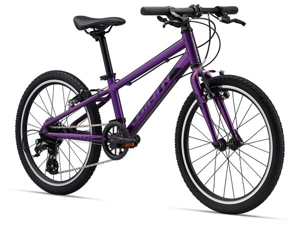 Bicykel Giant ARX 20 Purple 2023 20"