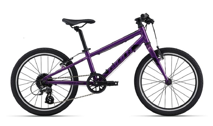 Bicykel Giant ARX 20 Purple 2023 20"