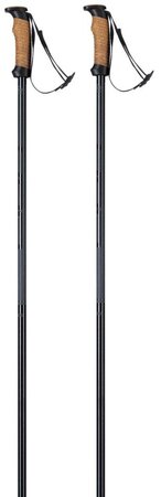 Lyžiarske palice Elan Speedrod Black