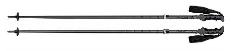 Lyžiarske palice Fischer Multi Vario ALU