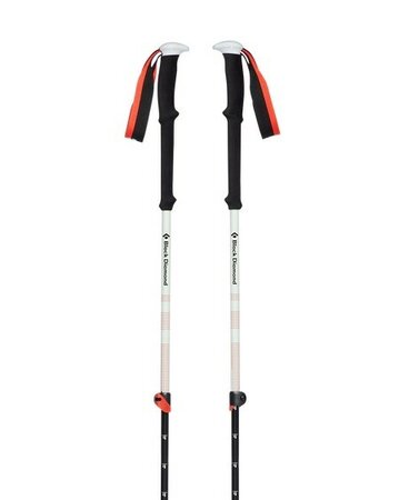Skialpové palice Black Diamond Expedition 2
