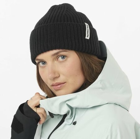 Čiapka Salomon Snowbird Beanie Deep Black