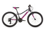 Bicykel Dema Pegas 24 Dark/Grey/Pink 2020