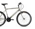 Bicykel Capriolo Passion Man Moss 2021