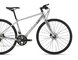 Bicykel Liv Thrive 2 M20 Glacier Silver 2021