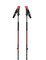 Skialpové palice Black Diamond Traverse