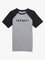 Detské tričko Burton Vault Short Sleeve T-Shirt Gray Heather