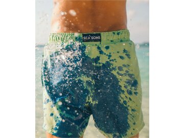 Pánske plavky Sea'sons Main Blue/Green