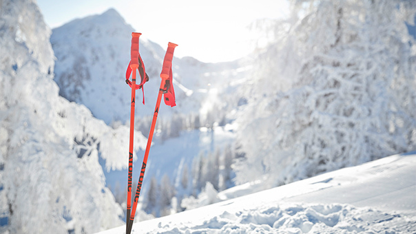 Lyžiarske palice Fischer 