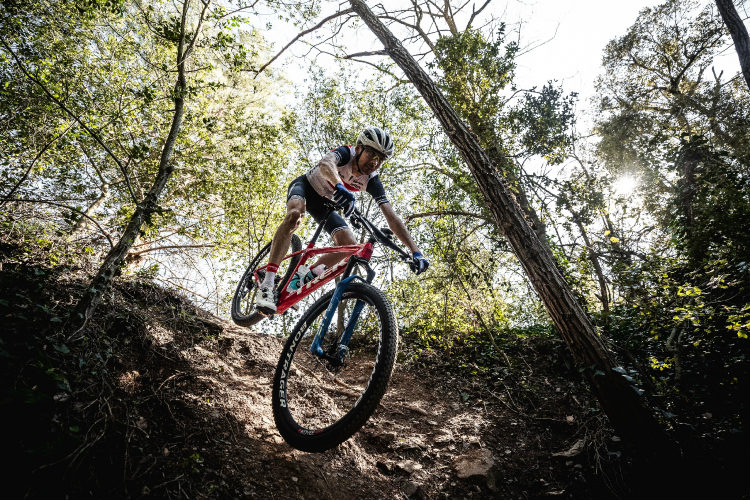 Veľkosť bicykle Trek Procaliber